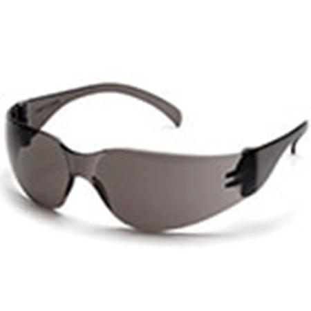 [3SV3000-E-G] Lente Económico Gris Visión -3000